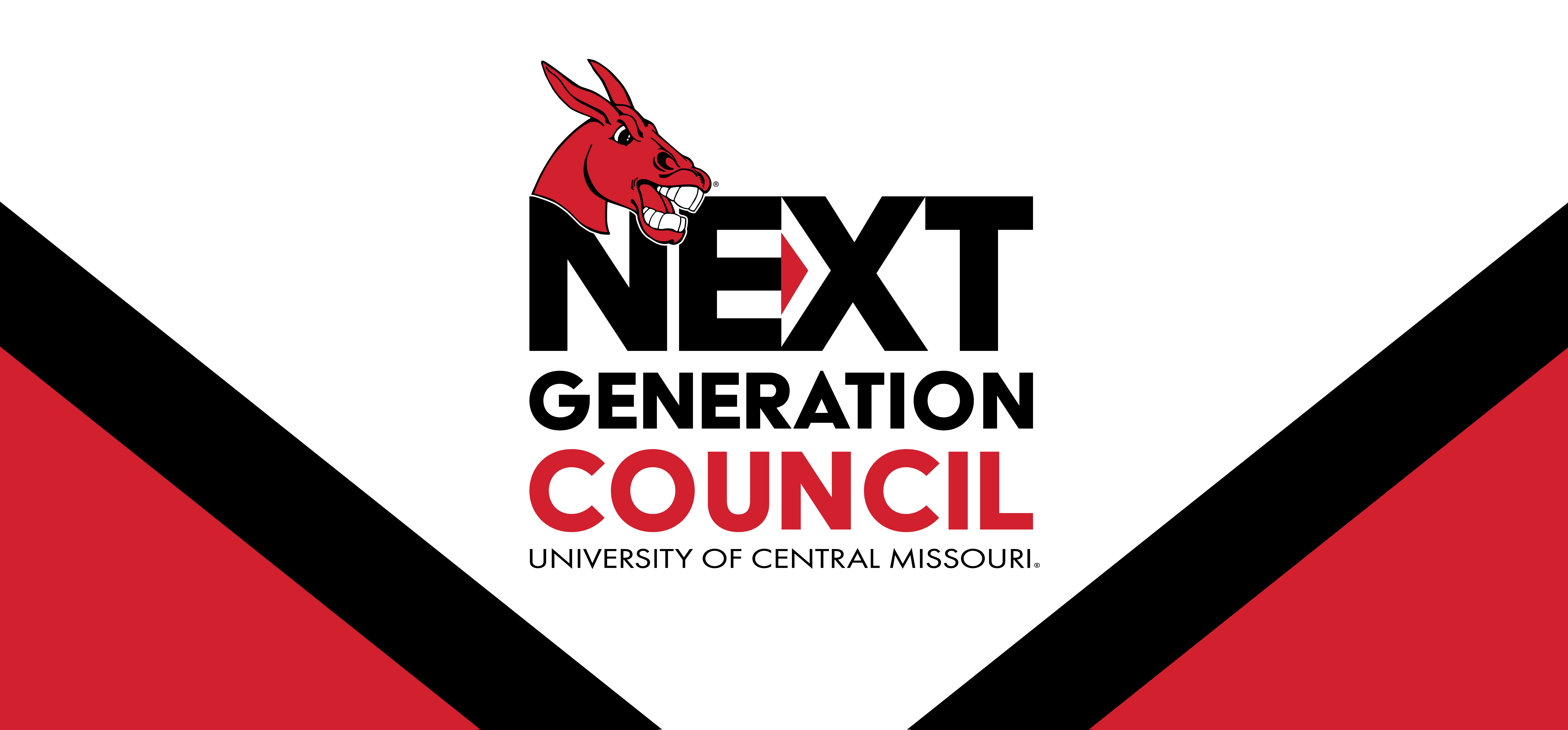 Next Generation Council Next Generation Council